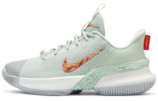 Мужские баскетбольные кроссовки Nike Ambassador 13