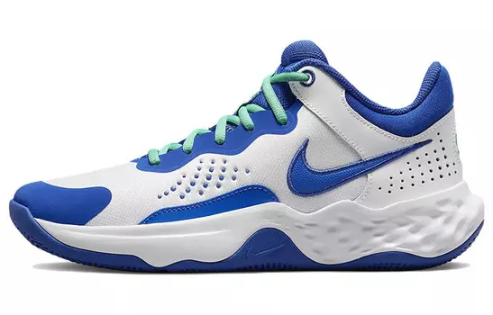 Мужские баскетбольные кроссовки Nike Fly By Mid 3