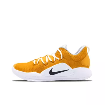 Мужские баскетбольные кроссовки Nike Hyperdunk X, Light Brown