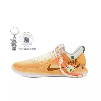 Мужские баскетбольные кроссовки Nike Hyperdunk X, Orange