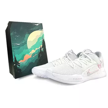 Мужские баскетбольные кроссовки Nike Hyperdunk X, White
