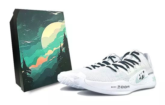 Мужские баскетбольные кроссовки Nike Hyperdunk X, White