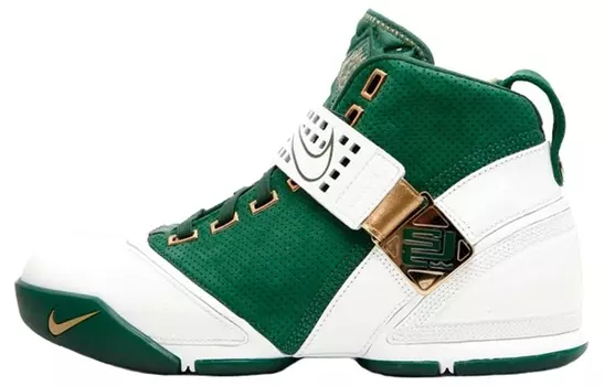 Мужские баскетбольные кроссовки Nike Lebron 5 Vintage