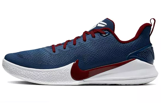 Мужские баскетбольные кроссовки Nike Mamba Focus Vintage
