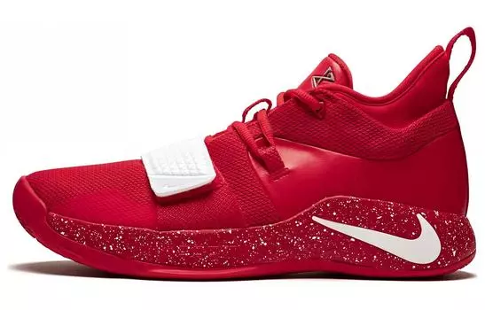 Мужские баскетбольные кроссовки Nike PG 2.5