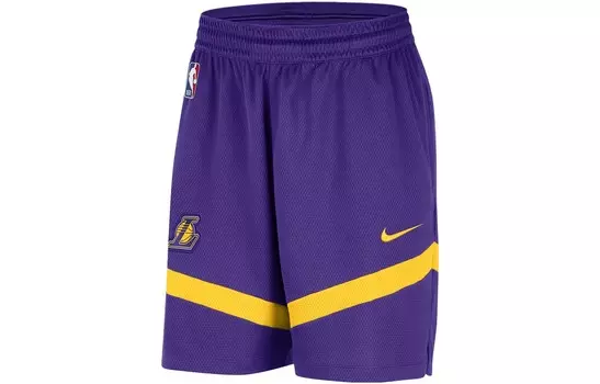 Мужские баскетбольные шорты Nike, цвет Purple