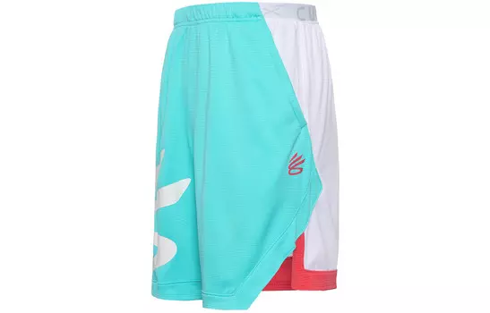Мужские баскетбольные шорты Under Armour, цвет Multicolor