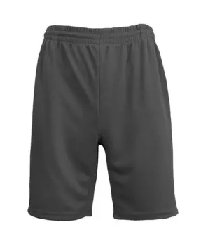 Мужские базовые шорты из сетки большого размера с влагоотводящими свойствами Galaxy By Harvic, серый