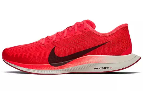 Мужские беговые кроссовки Nike Pegasus Turbo 2