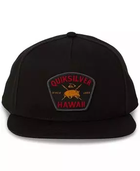 Мужские бейсболки Hi Tapa Plains Snapback Quiksilver, серый