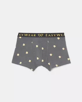 Мужские боксеры на резинке с пивным принтом Easy Wear, серый