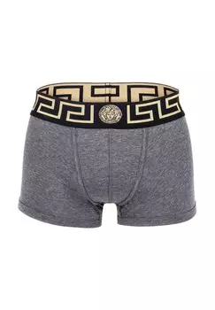 Мужские боксеры - ТОПЕКА, хлопок стрейч, однотонные VERSACE, цвет Grau/schwarz
