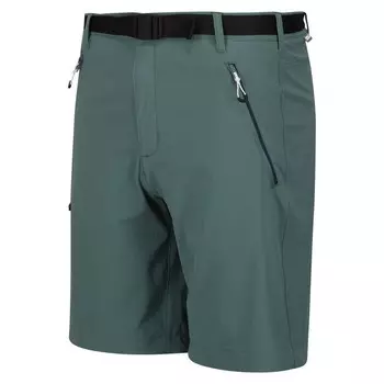 Мужские брюки для походов — REGATTA Xert StrShort III — Sea Pine