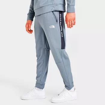 Мужские брюки-джоггеры The North Face Ampere, серый