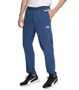 Мужские брюки-джоггеры The North Face Wander NF0A4QP2HDC, синий