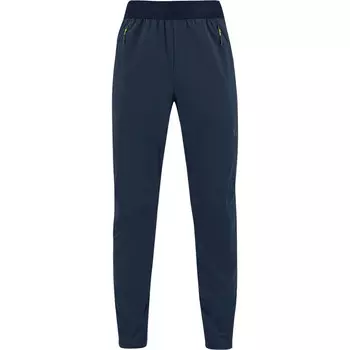 Мужские брюки Easy Frizz Karpos, синий