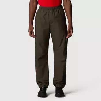 Мужские брюки из известняка The North Face, зеленый