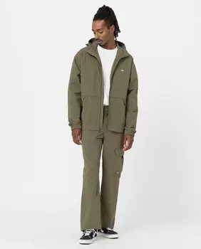 Мужские брюки-карго Dickies, зеленый