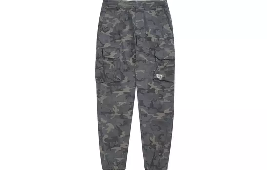 Мужские брюки-карго THE NORTH FACE, цвет Camouflage