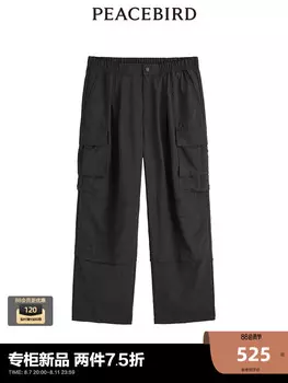 Мужские брюки Peacebird летние, черный