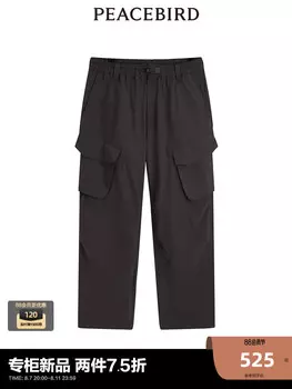 Мужские брюки Peacebird повседневные, черный