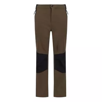 Мужские брюки Regatta, зеленый