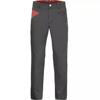 Мужские брюки Рокленд Rafiki, серый