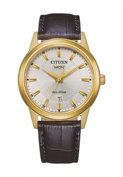 Мужские часы AW0102-13AE CITIZEN, цвет Gold Braun