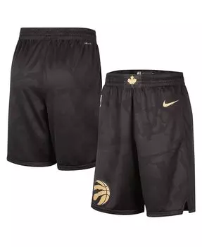 Мужские черные шорты toronto raptors 2022/23 city edition swingman Nike, черный
