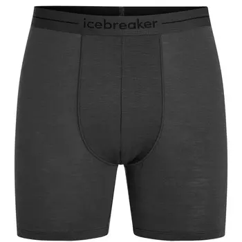 Мужские длинные боксеры Anatomica Icebreaker, черный