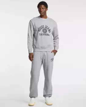 Мужские длинные спортивные штаны Guess Jeans, светло-серый