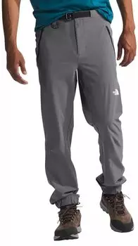 Мужские джоггеры Paramount Pro The North Face