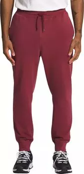 Мужские джоггеры с краской для одежды The North Face
