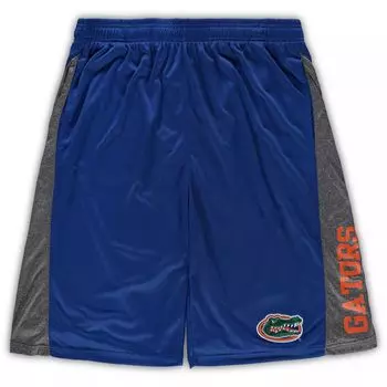 Мужские фактурные шорты Royal Florida Gators Big & Tall