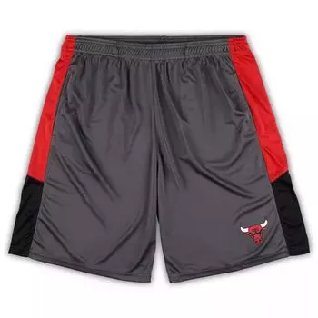 Мужские фирменные серые шорты Chicago Bulls Big & Tall Fanatics