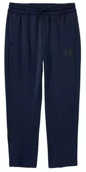 Мужские флисовые брюки Horizon Performance The North Face