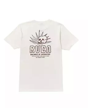 Мужские футболки с черепом пустыни RVCA, белый