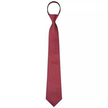 Мужские галстуки на молнии с предварительно завязанными классическими галстуками на шею с рисунком Elerevyo, цвет Wine Red White Dots