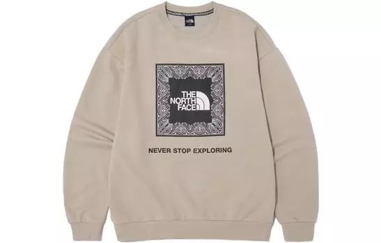 Мужские худи и свитшоты THE NORTH FACE, цвет Brown
