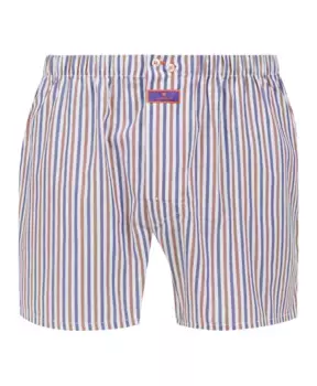 Мужские классические хлопковые шорты-боксеры Gallo, мультиколор