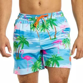 Мужские костюмы OppoКупальные шорты Flaminguy OppoSuits, цвет Miscellaneous