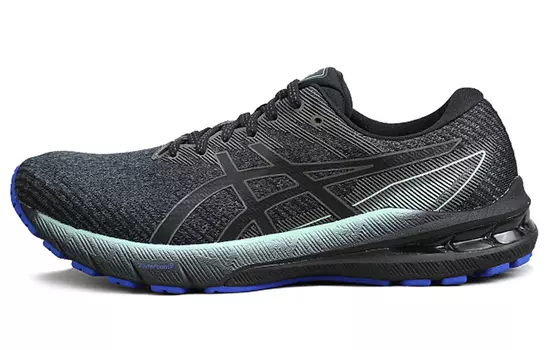 Мужские кроссовки Asics GT-2000 10