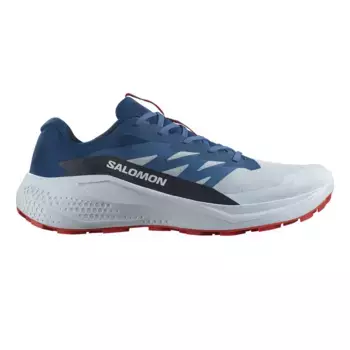 Мужские кроссовки для бега по пересеченной местности SALOMON ALPHAGLIDE, синий