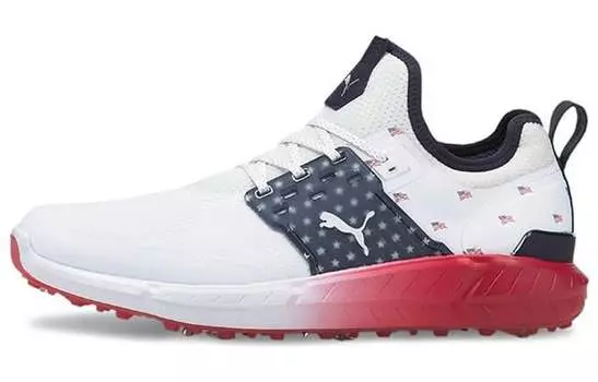 Мужские кроссовки для гольфа Puma Ignite Articulate