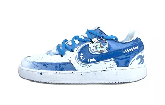 Мужские кроссовки для скейтбординга Nike Court Vision 1, The water dragon groans
