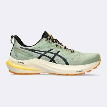 Мужские кроссовки GT-1000 12 т р Asics, мультиколор