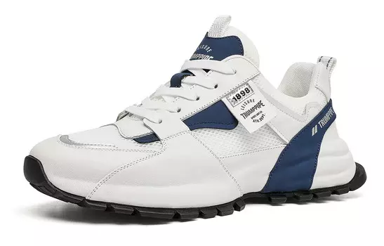 Мужские кроссовки Lifestyle с низким верхом, синий/белый Trumppipe