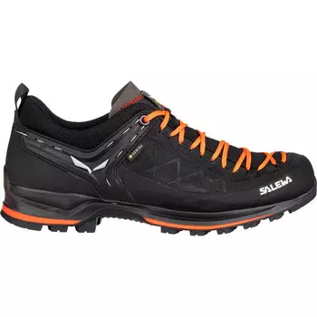 Мужские кроссовки MTN Trainer 2 GTX Salewa, черный