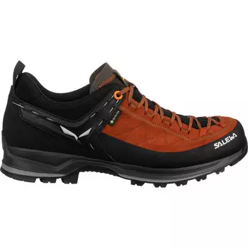 Мужские кроссовки MTN Trainer 2 GTX Salewa, коричневый