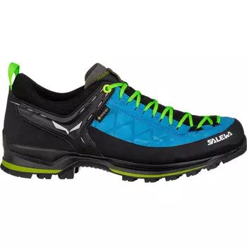 Мужские кроссовки MTN Trainer 2 GTX Salewa, синий